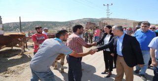 Başkan Aydın, Kurban Pazarını Gezdi