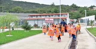 200 Anaokulu Öğrencisi Can Dostları İle Buluştu