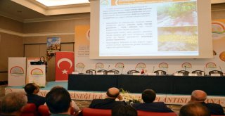 Dr. Pakdil: Karantina Konusu, Sınırda Nöbet Tutan Askerden Farklı Düşünülmemeli