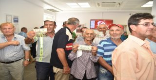 Döviz Bozduran Vatandaşa Başkan İspiroğlundan Çerezlik Fındık