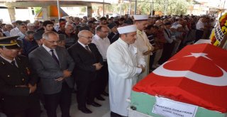 Nazillide Kore Gazisine Son Görev