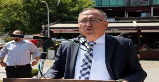 Yalovada Kurtuluş Coşkusu