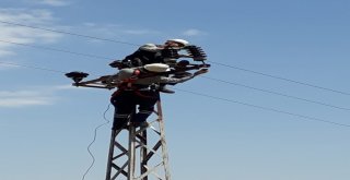 Vedaş Bayrama Hazır