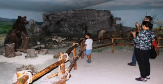 Çamlıdere Doğa Ve Hayvan Müzesi Ziyaretçilerin Yoğun İlgisini Çekiyor