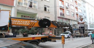 (Özel) Esenyurtta  Pencerenin Korkuluğunda Aç Susuz Mahsur Kalan Kuşu Kurtarma Operasyonu Kamerada