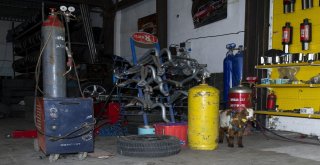 (Özel Haber) Biberonla Beslenen Oğlak Oto Sanayinin Maskotu Oldu