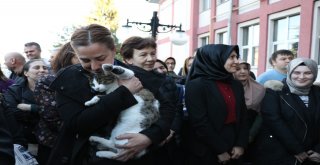 Boluda, 74 Yıllık Adliye Binasına Veda Töreni Düzenlendi