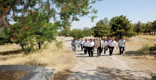 Battalgaziye 900 Dönümlük Yeni Tabiat Parkı Yapılıyor