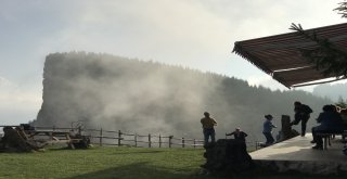 Herkes Bu Kayayı Görmeye Geliyor