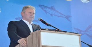 İzmirli Balıkçılar Rastgele Diyecek