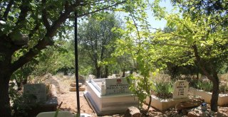 Kulp Belediyesi, Şehit Kabrini Mermer Taşlarıyla Yeniledi