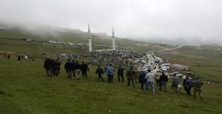 Kadırga Yaylasında Yüzlerce Yıllık Şenlik Coşkusu