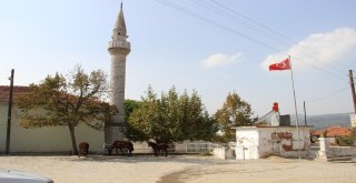 Herkes Bu Söylentinin Doğru Çıkması İçin Dua Ediyor