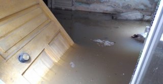 Orduda 104 Konut Ve İş Yerini Su Bastı, Dereler Doldu Taştı
