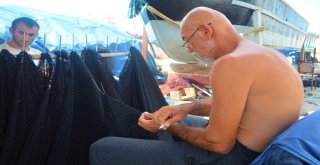 (Özel) Balıkçılardan Müjde, Denizde Bu Yıl Balık Çok