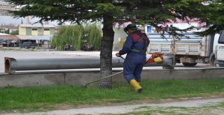 Şuhutta Çim Biçme Çalışmaları Tam Gaz Devam Ediyor