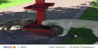 Kocasinan Belediyesi Sosyal Medyanın Gündeminden Düşmüyor