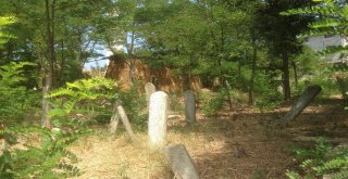 Erdekteki Tarihi Mezarlık Ve Cami İlgi Bekliyor