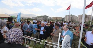 Vanda Şehit Mezarları Ziyaret Edildi