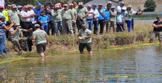 Esbalder İlk Sportif Balık Yakalama Yarışmasını Gerçekleştirdi