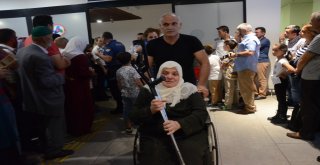 Hacılar, Kutsal Topraklardan Dönmeye Başladı