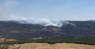 Bingöl Valiliği: Zarar Tespit Çalışması Devam Ediyor
