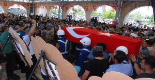 Komutan, Şehidin Babasının Gözyaşı Ve Terini Sildi