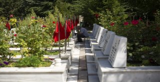 Şehit Yakınlarının Hüzünlü Bayramı