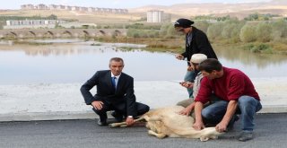 Hayallerindeki Köprünün Üzerinde Şükür Namazı Kıldılar