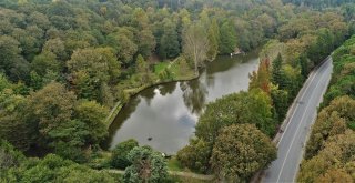 (Özel) Sonbaharın Renklerine Bürünen Atatürk Arboretumu Havadan Görüntülendi