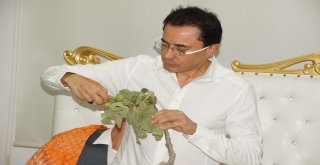 İncir Festivali Renkli Görüntülere Sahne Oldu