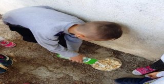 Minikler Bayat Ekmeklerden Sokak Hayvanlarına Mama Hazırlıyor