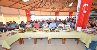 Foça Festivali Doludizgin