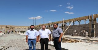 Modern Ahır Projeleri Yükselmeye Devam Ediyor