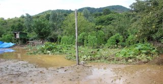 Orduda Metrekareye 108 Kilo Yağmur Düştü