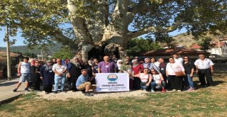 Gölbaşı Belediyesi Kültür Gezileri