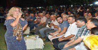 Ormanlıda Fındık Festivali Düzenlenecek