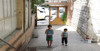 Kuran Öğrenmeye Tavşanıyla Geliyor