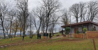 Başkan Gümrükçüoğlu, Trabzon Botanikte İncelemelerde Bulundu.