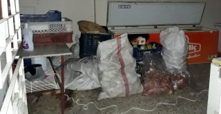 Mersinde 1,5 Ton Kokmuş Tavuk Eti Ele Geçirildi
