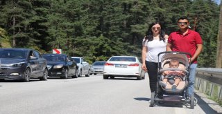 Tatilciler, Abant Tabiat Parkında 5 Kilometrelik Araç Kuyruğu Oluşturdu