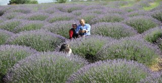 Isparta Şehir Hastanesinden Sağlık Turizmi Atağı