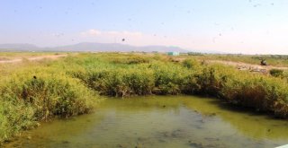 Karakoç Deresinin Yağmurlar Başlamadan Bir An Önce Temizlenmesini İstediler