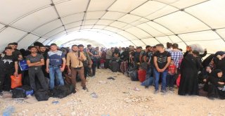 Suriyeliler Ülkelerine Koşarak Gitti