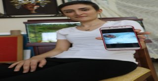 Bir Yılda Kanseri Yendi, Şimdi Diğer Hastalara Umut Dağıtıyor