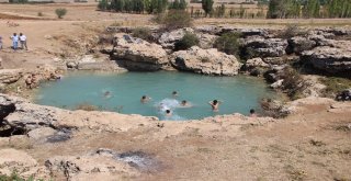 Uyuz Olan Bu Göle Koşuyor