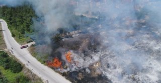 (Özel Haber) Bursada Lüks Villaların Yanında Küle Dönen Ciğerleri Yeniden Yeşeriyor