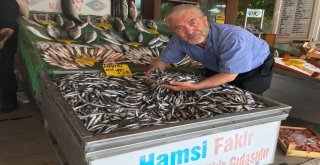 Tezgahlardaki Hamsi Bolluğu Yüzleri Güldürdü