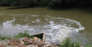 (Özel) Osbnin Atık Suları İle Kirlenen Sakarya Nehri Havadan Görüntülendi