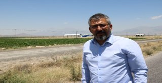 Çukurkuyuda Tarıma Dayalı Hayvancılık Bölgesi Kuruldu